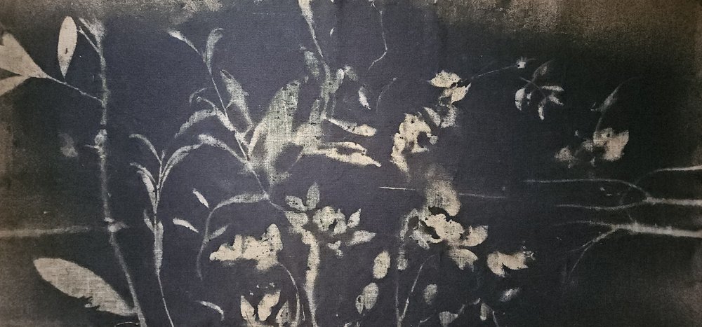 Bloei in de schaduwtuin door Stefano Mazzolini