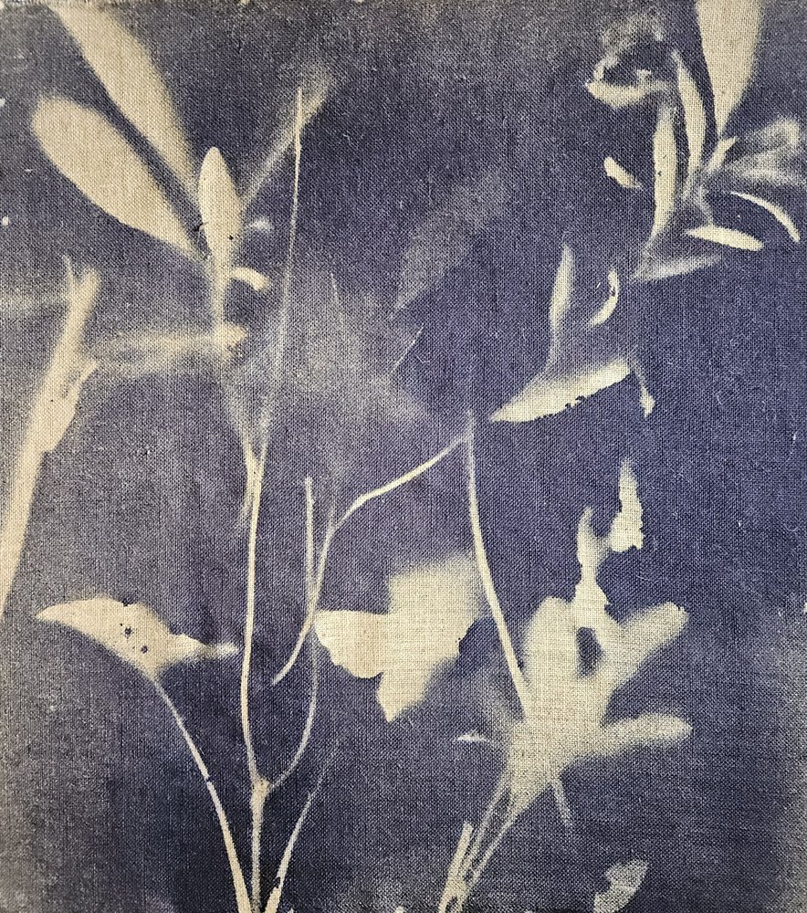 Vintage botanische blauwtinten door Stefano Mazzolini