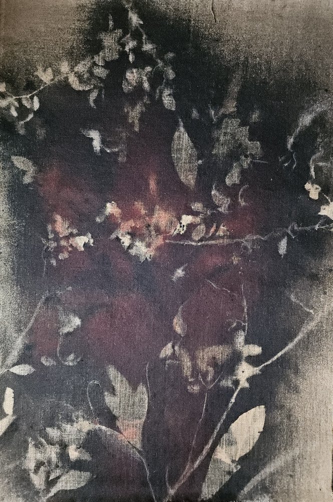 Vintage botanische vervaging door Stefano Mazzolini