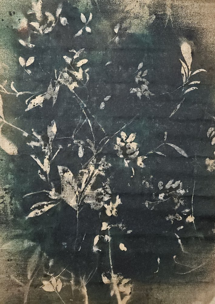 Vintage botanische silhouetten door Stefano Mazzolini