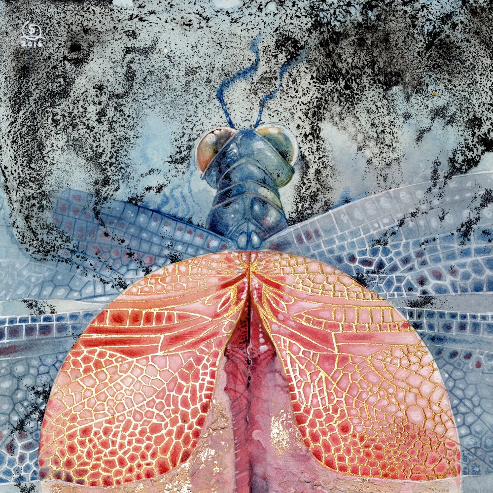  door Stephanie Law