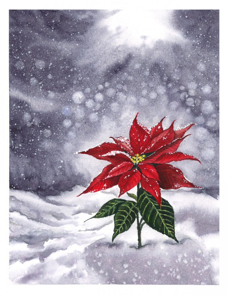 Wintergloed van de kerstster door Suchi Deb