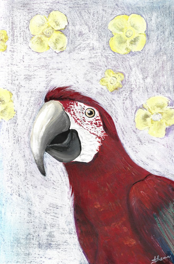 Tropische ara