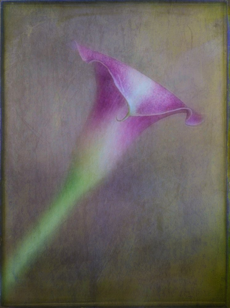 Dromerige paarse calla door Ulrike Eisenmann