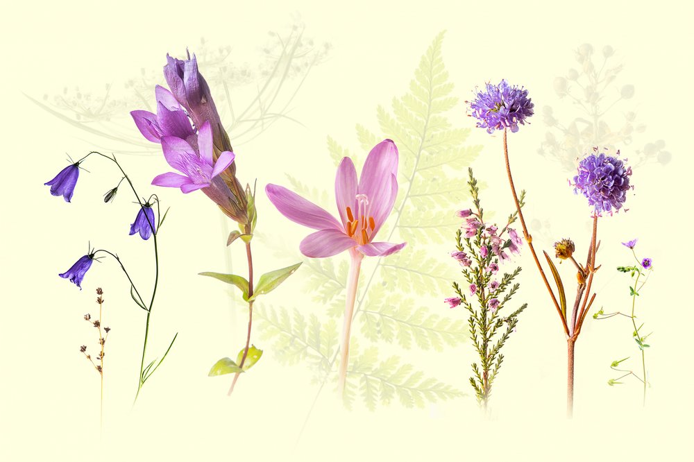 Mix van lentebloemen door Ulrike Eisenmann