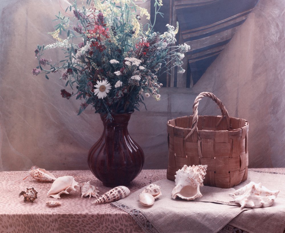 Stilleven met wilde bloemen en schelpen door UstinaGreen