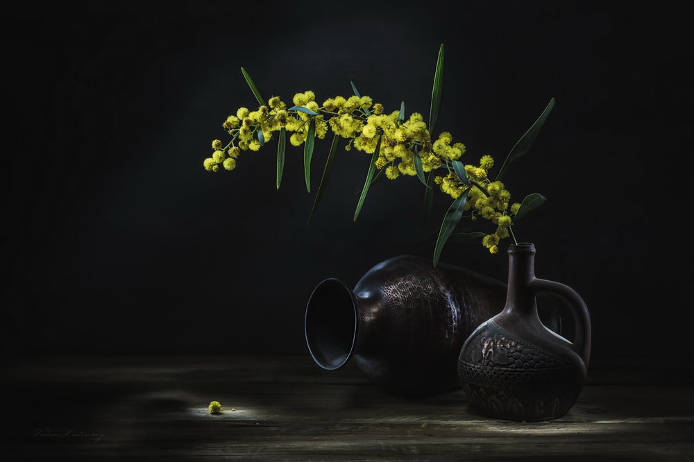 Stilleven met gele mimosa door Vadim Kulinsky