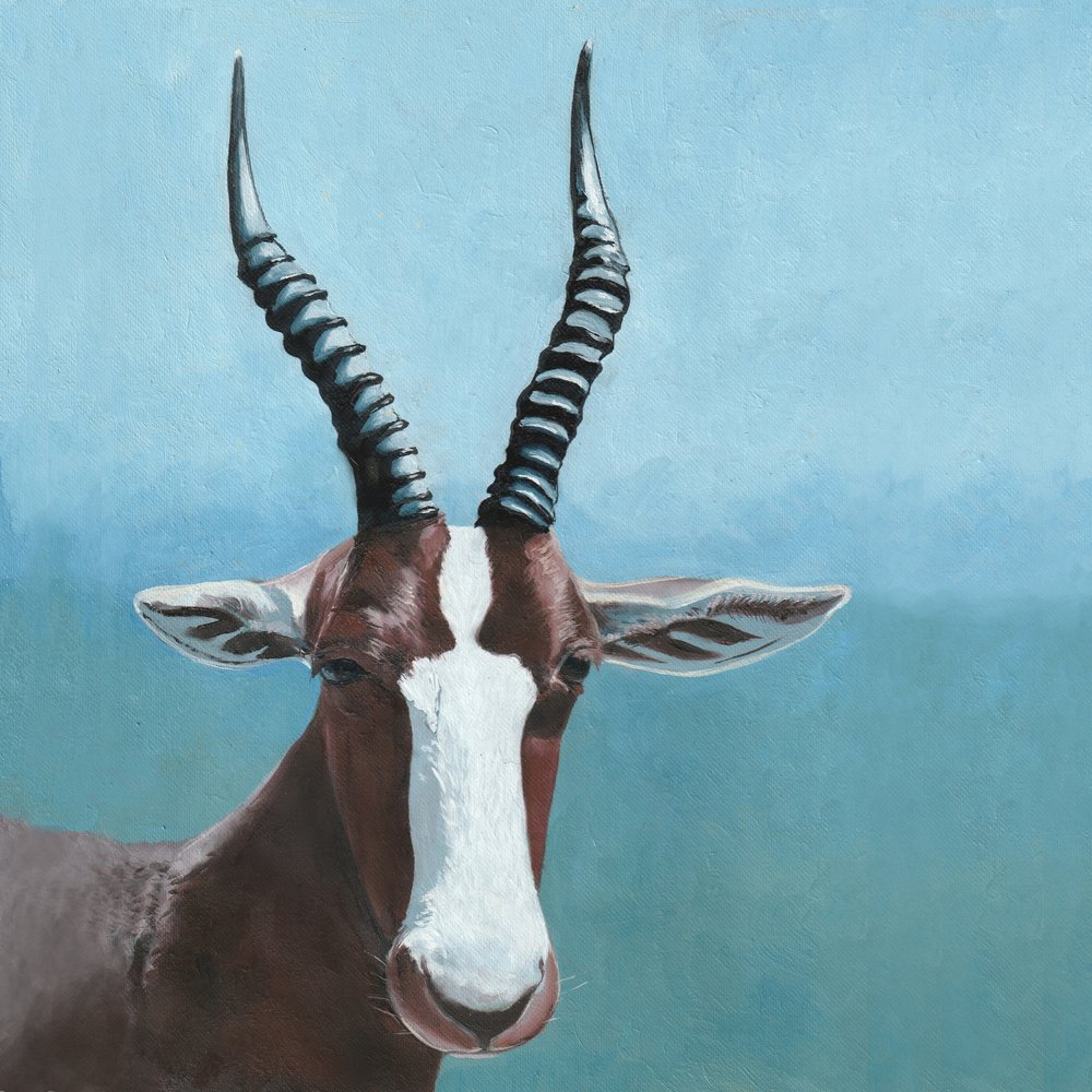 De blik van de blesbok door Viccy Wanliss