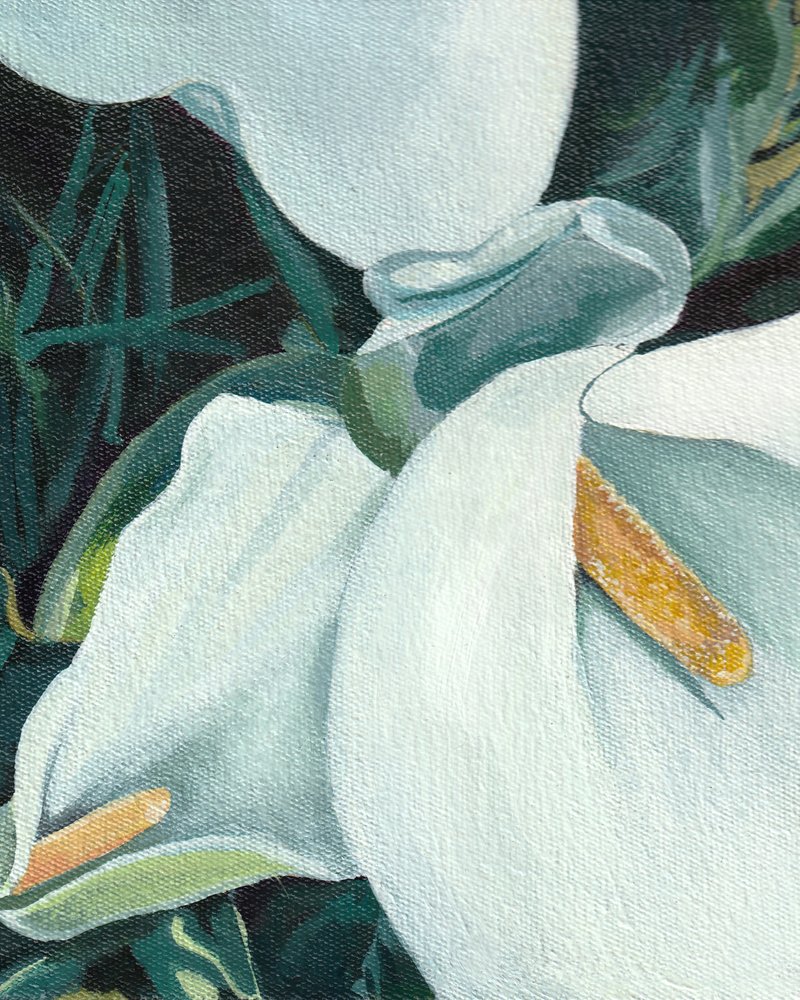Elegante calla
