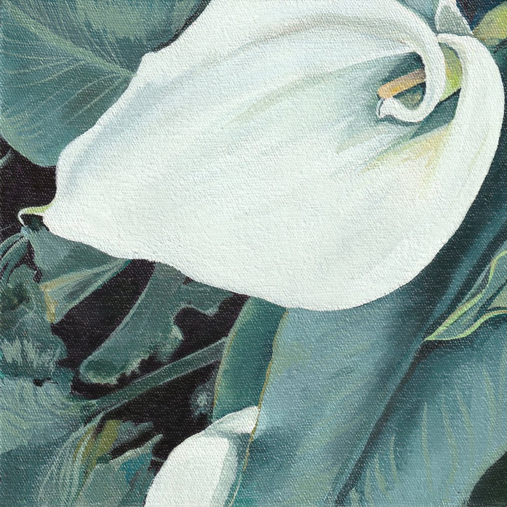 Elegante witte calla door Viccy Wanliss