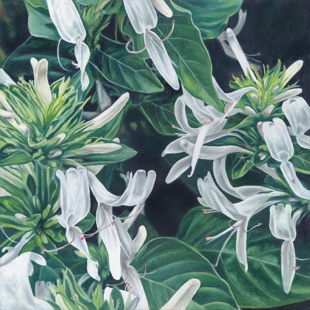 Elegante witte bloemen door Viccy Wanliss