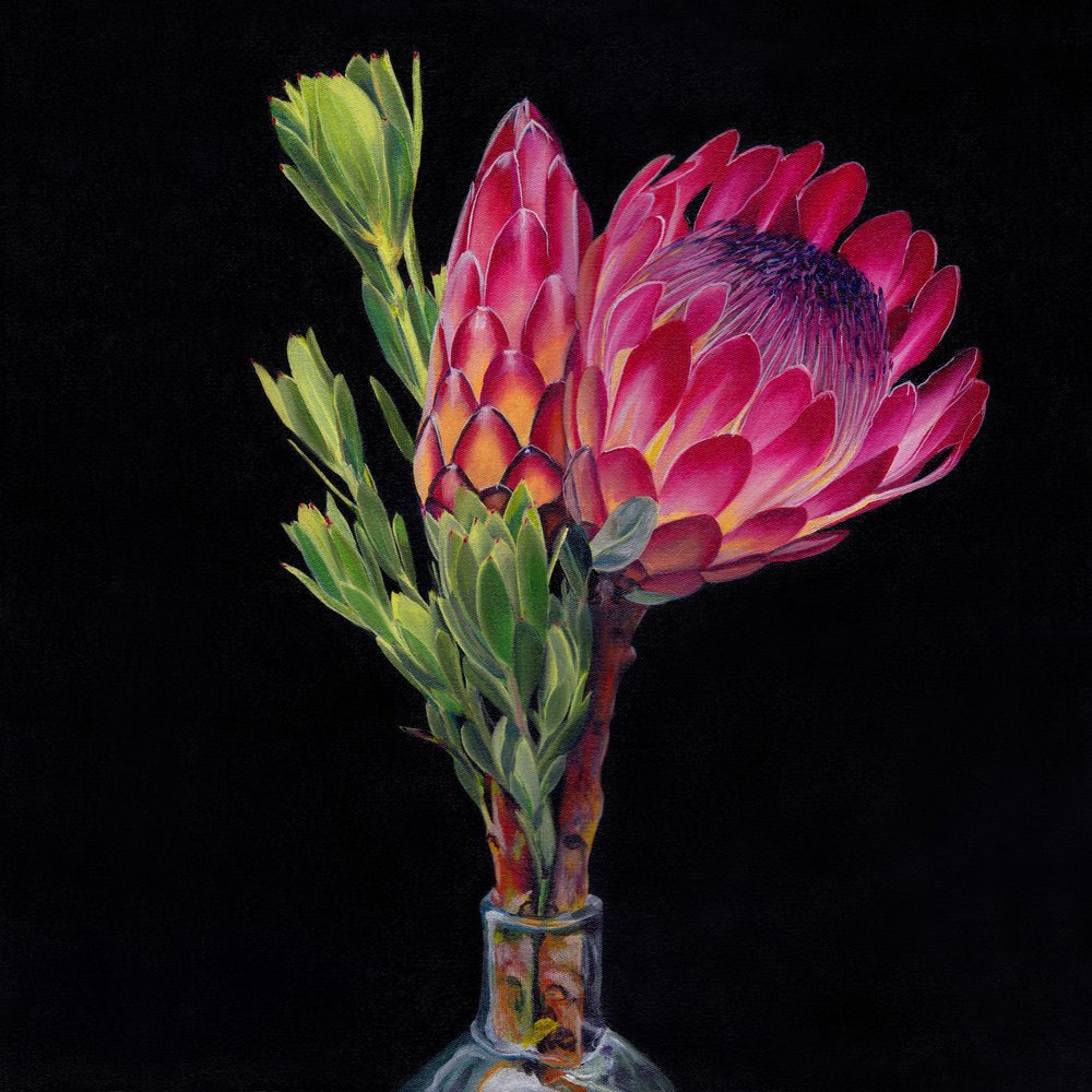 Roze protea-vazen door Viccy Wanliss