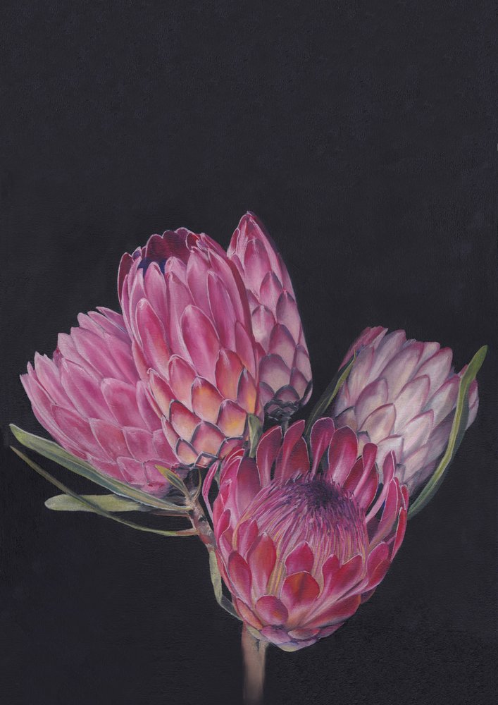Protea-mix door Viccy Wanliss door Viccy Wanliss