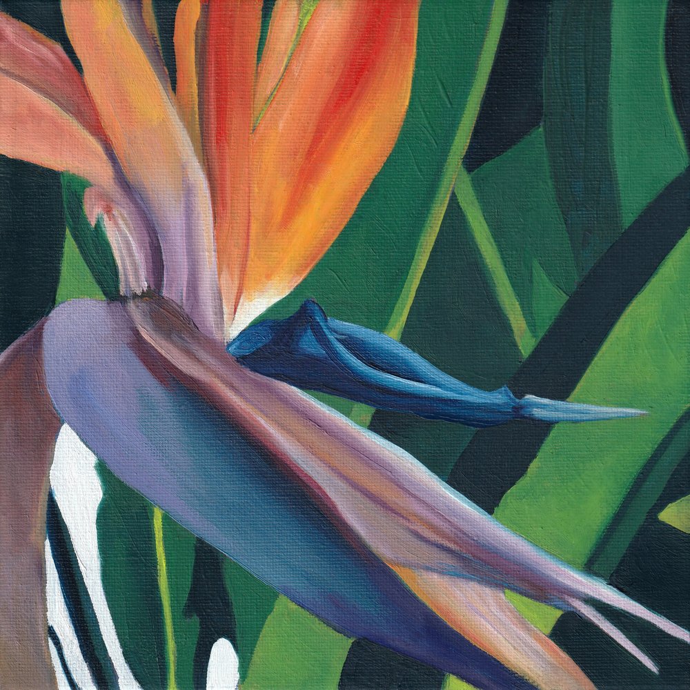Levendige paradijsvogel door Viccy Wanliss