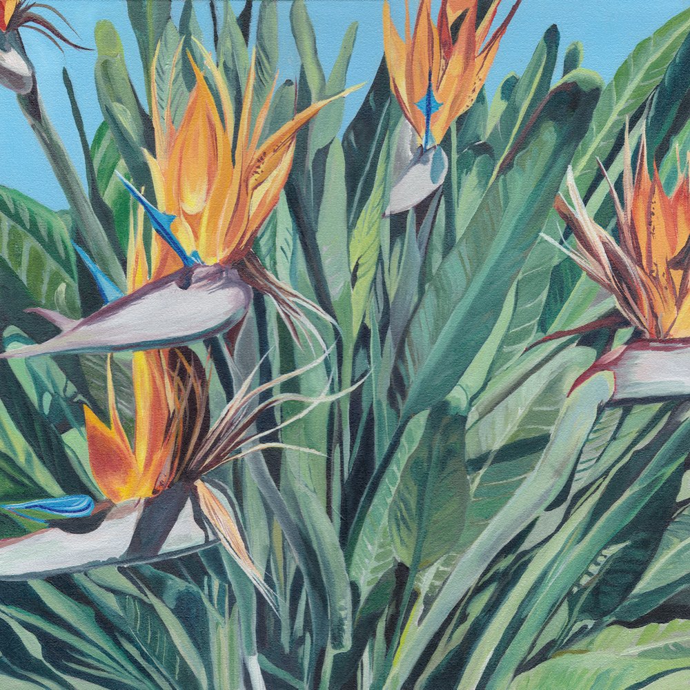 Levendige paradijsvogel door Viccy Wanliss