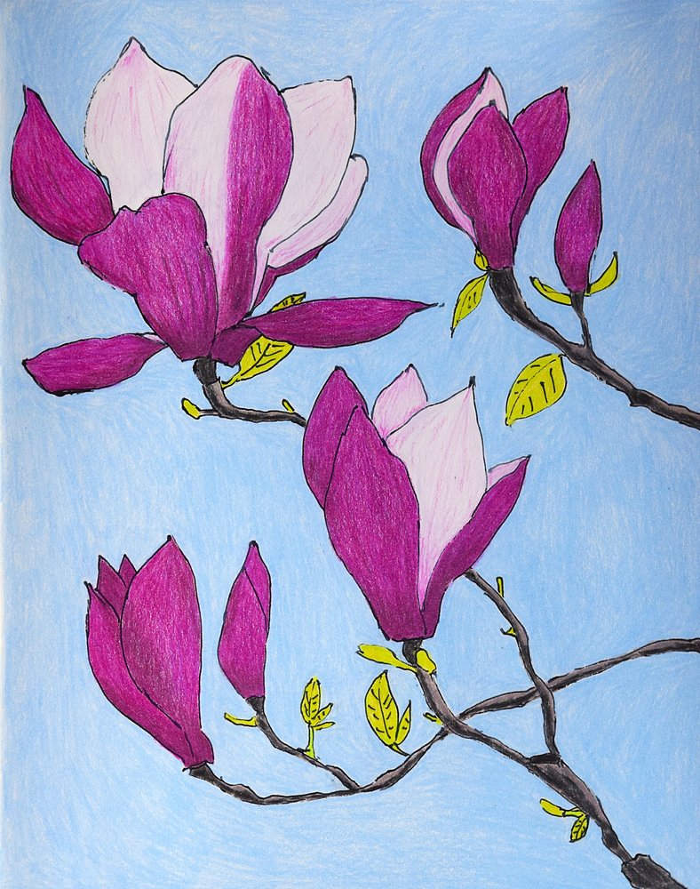 Paarse magnoliabloesems door Viktoriia Saunina