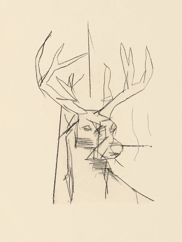 Abstracte schets van een hert door cartissi