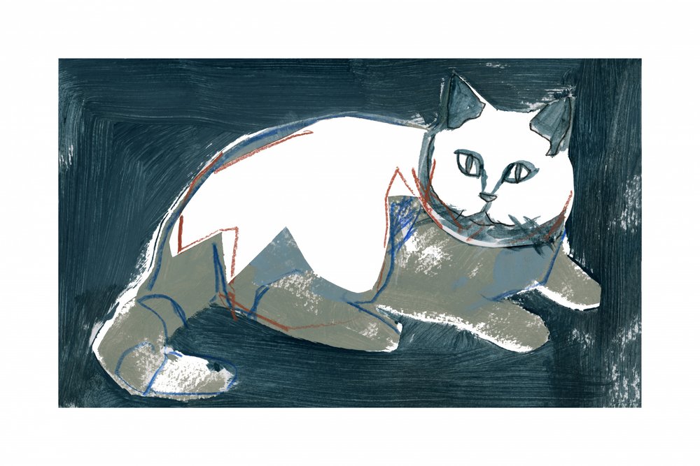 Kunstzinnige witte kat door cartissi