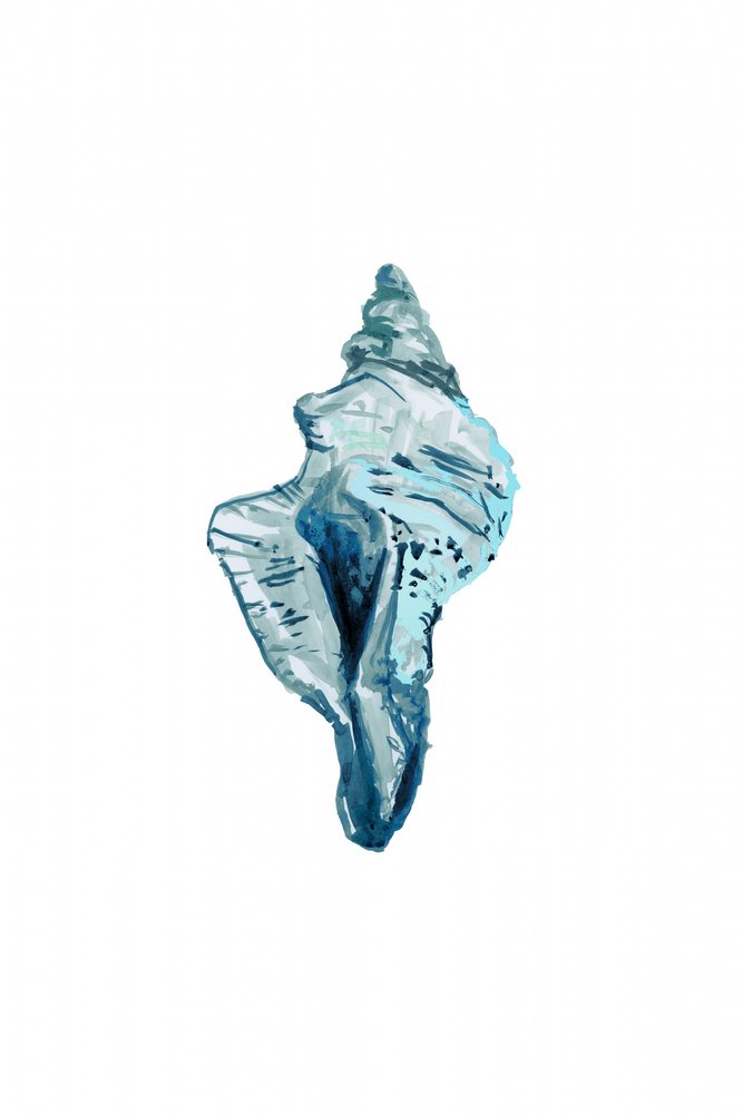 Blauwe schelp door cartissi