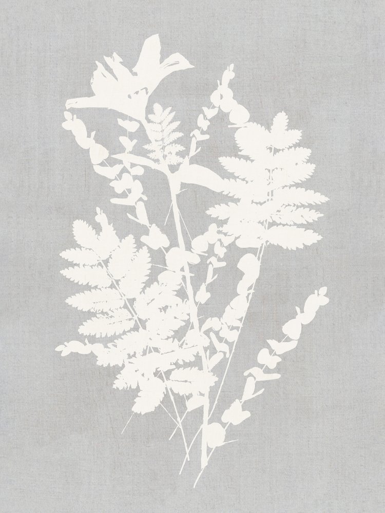 Studie naar botanische silhouetten door cartissi