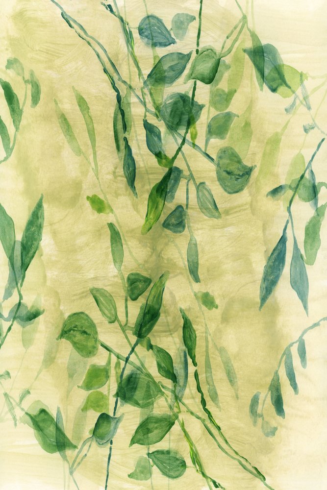 Zachte botanische flow door cartissi