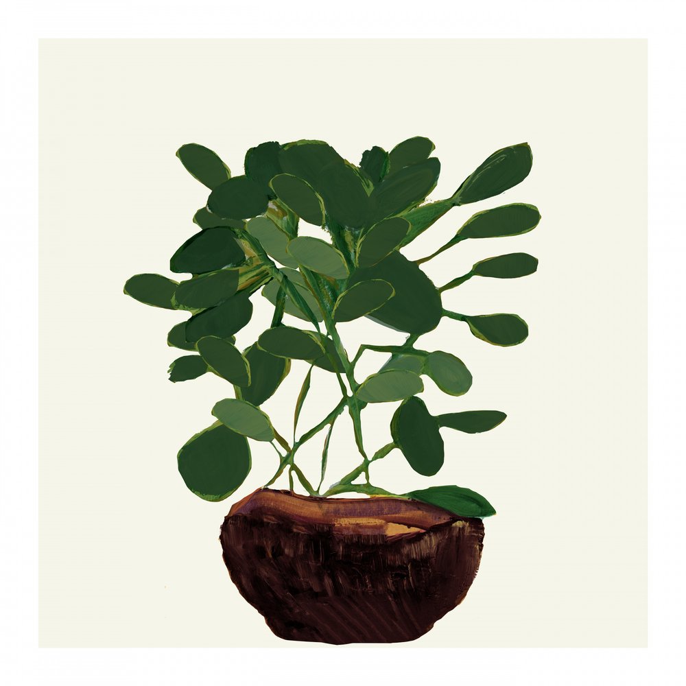 Groene potplant door cartissi