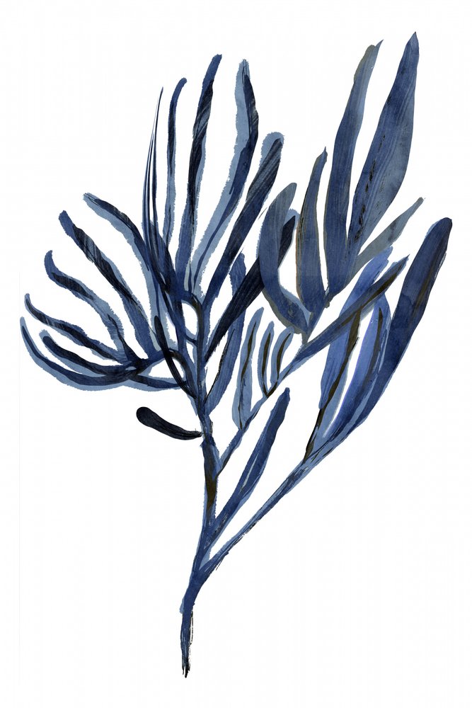 Indigo Botanische takken door cartissi