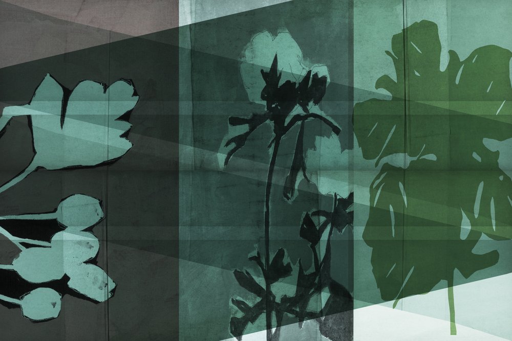 Gelaagde botanische schaduwen door cartissi