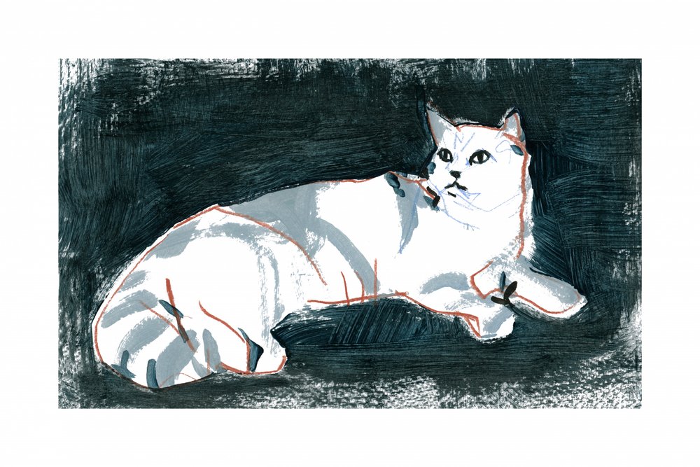 Liggende witte kat door cartissi