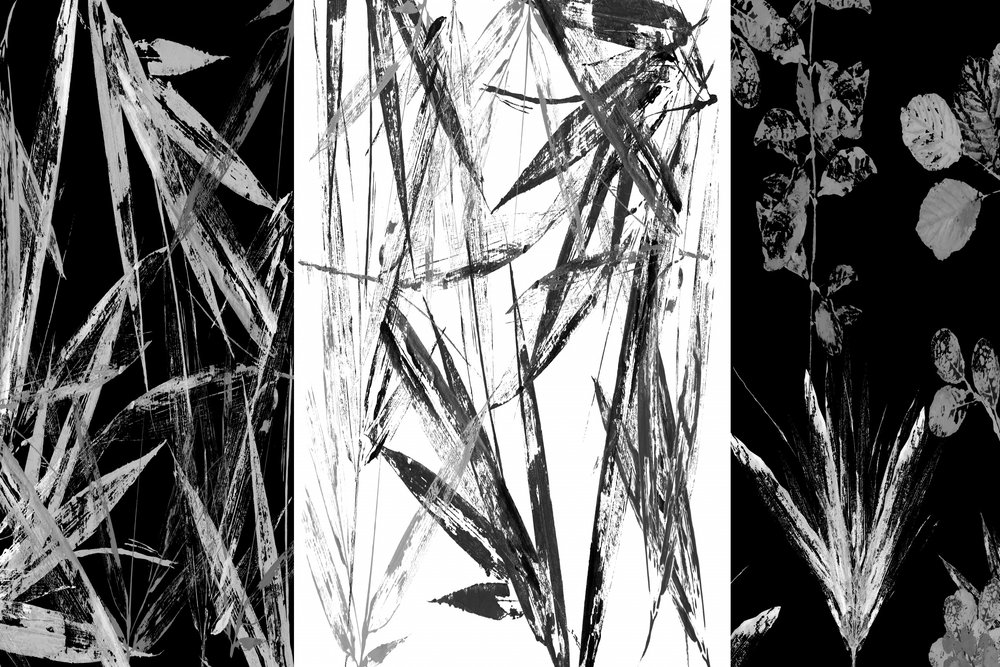 Monochrome botanische studie door cartissi