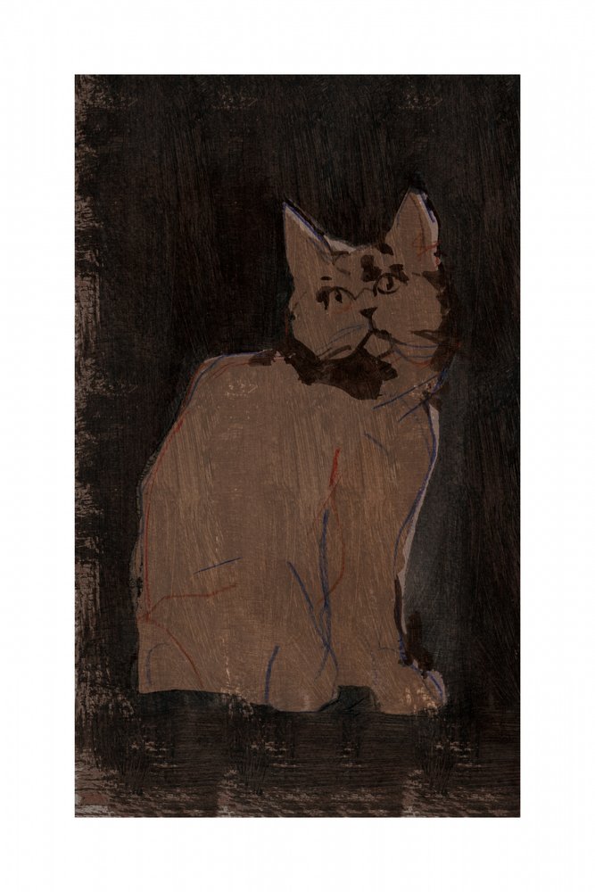 Portret van een humeurige kat door cartissi