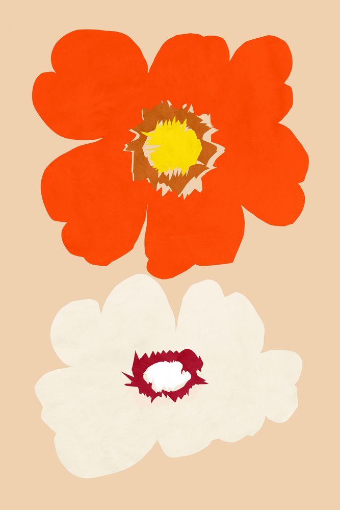 Oranje en witte bloemen door cartissi