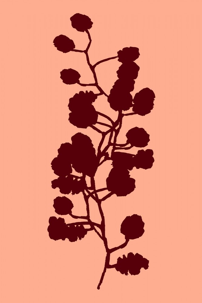 Botanisch silhouet van een perzik door cartissi
