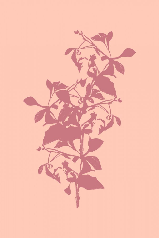 Roze botanisch silhouet door cartissi