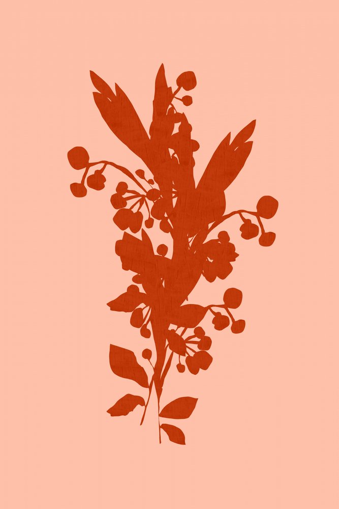 Terracotta bloemensilhouet door cartissi