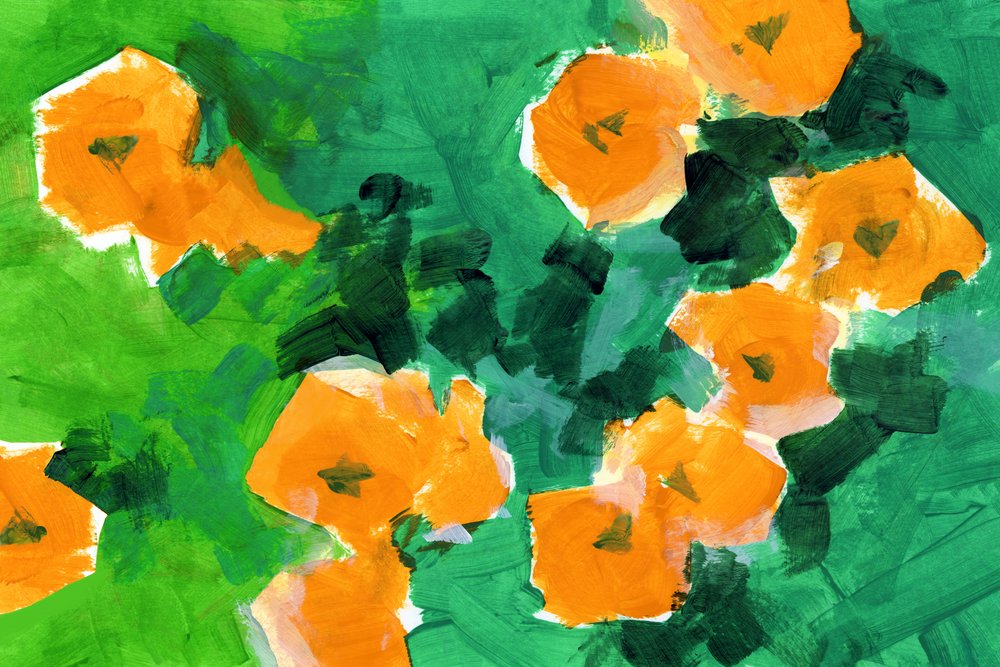 Levendige oranjebloesems door cartissi