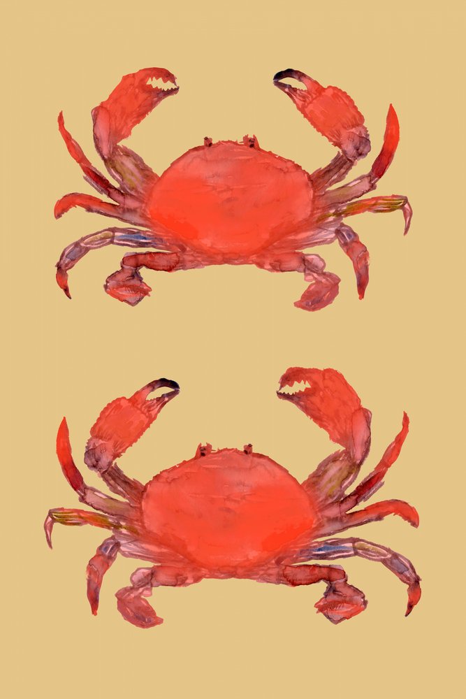 Levendige rode krabben door cartissi