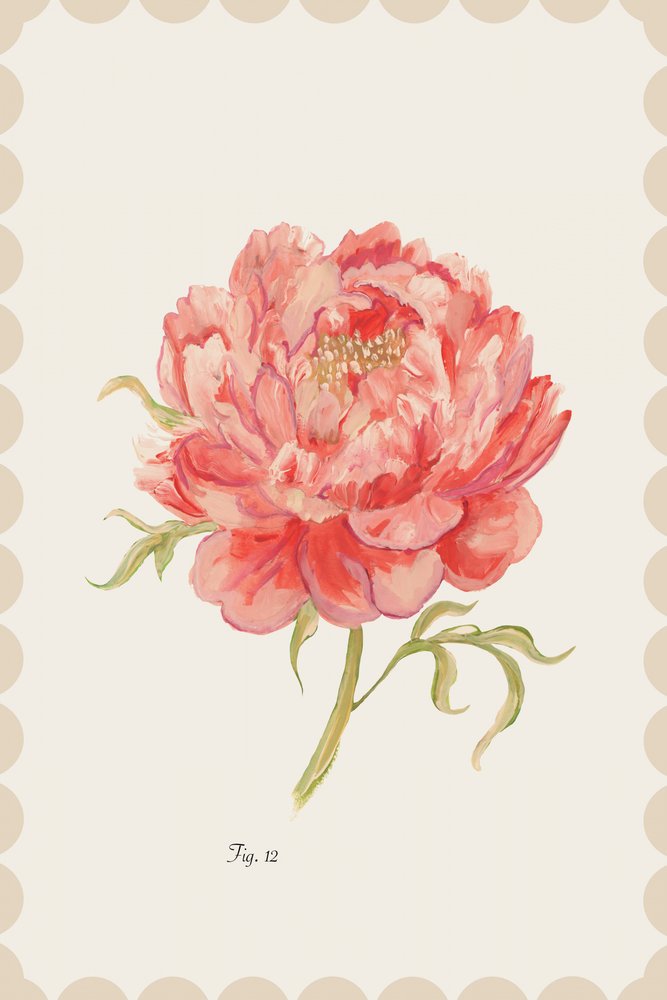 Vintage roze pioenroos door cartissi
