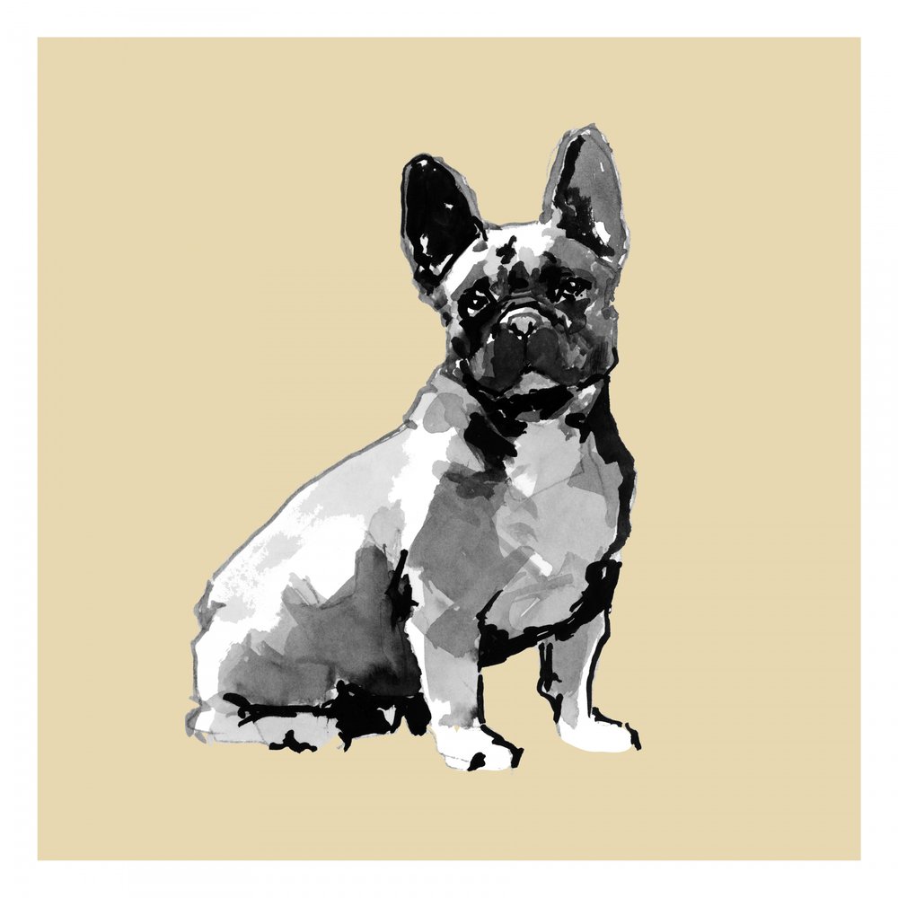 Franse buldog in aquarel door cartissi