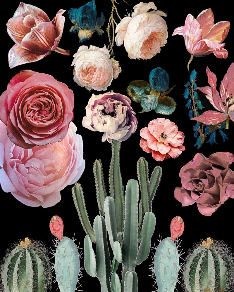 Cactussen, bloemen, bloesems, botanisch door giovanna nicolo