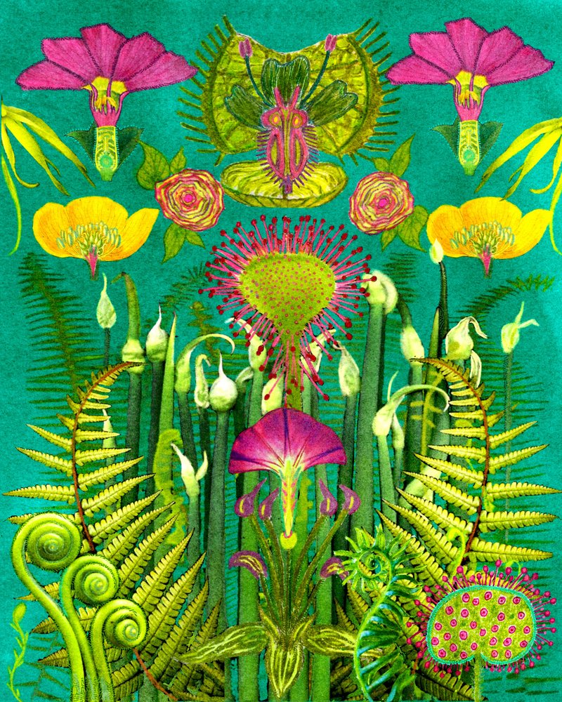 Fantasievolle vleesetende tuin door giovanna nicolo
