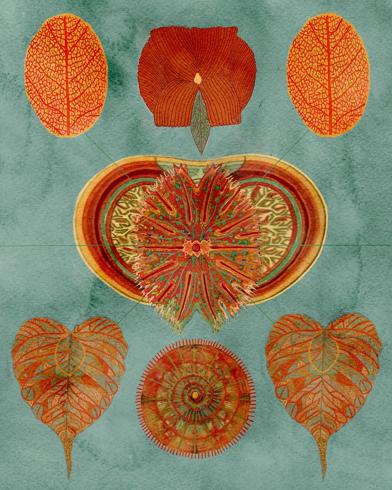 Ingewikkeld botanisch arrangement door giovanna nicolo