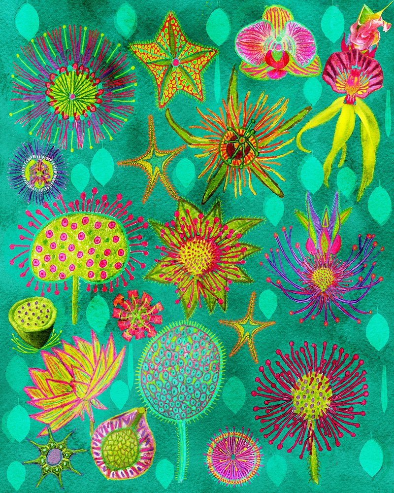 Levendige botanische tuin door giovanna nicolo