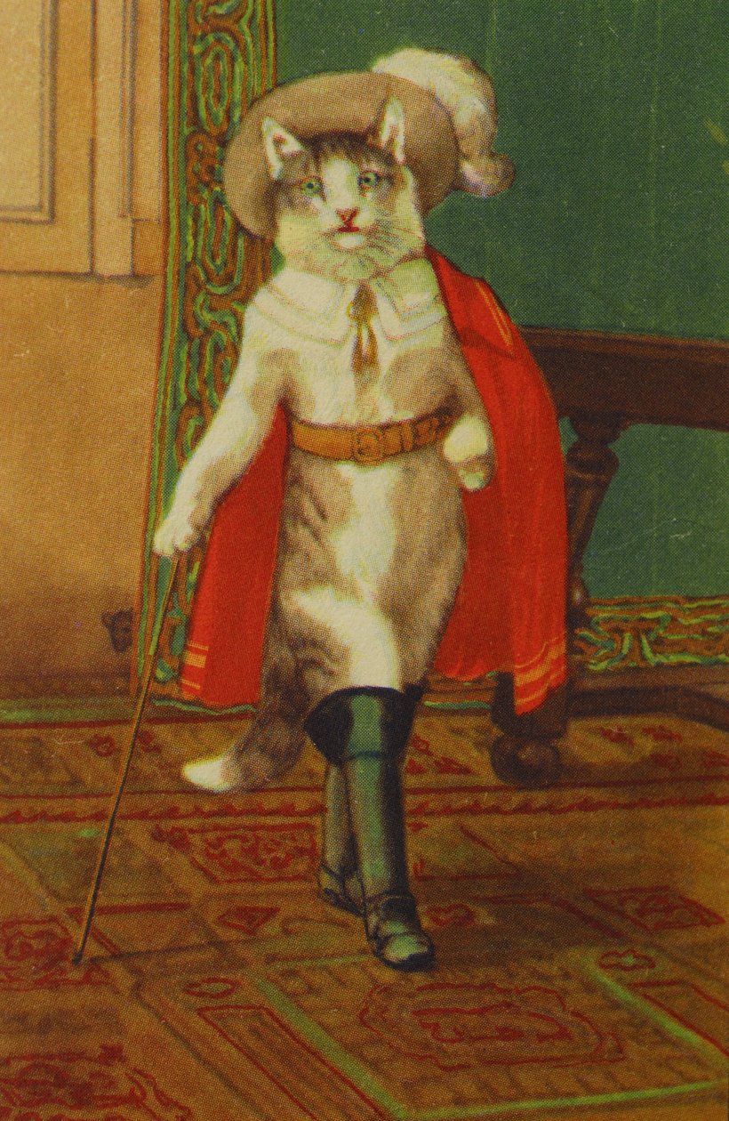 Illustratie De Gelaarsde Kat Conte de Perrault door Unknown