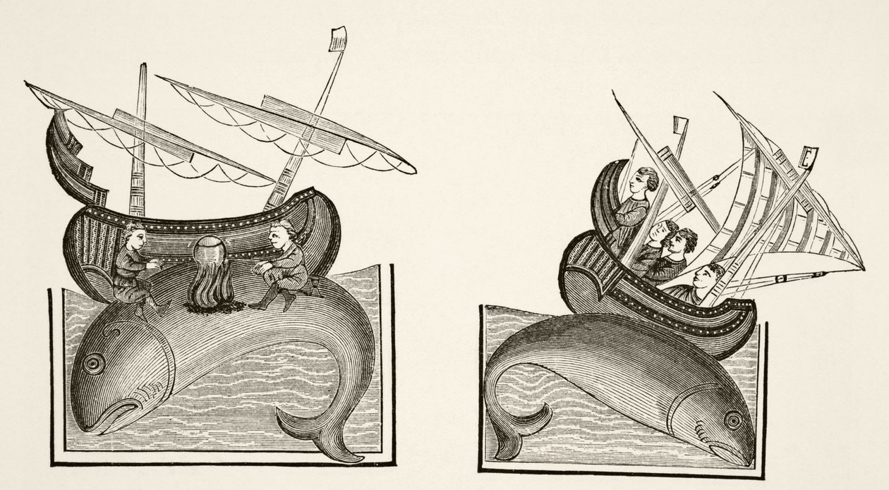 Navigators verwarren de rug van een walvis met een eiland, naar een miniatuur in Richard de Fournival