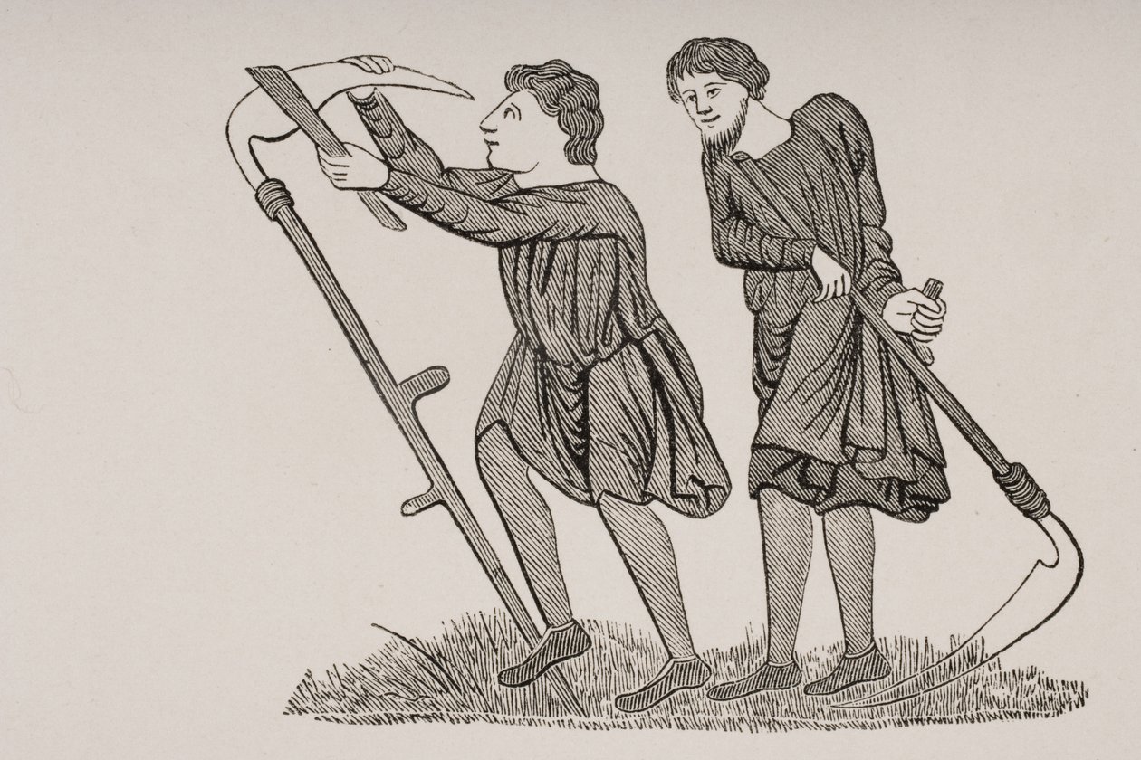 Lijfeigenen die met zeisen op de velden werken, naar een miniatuur in een 12e-eeuws manuscript, uit 