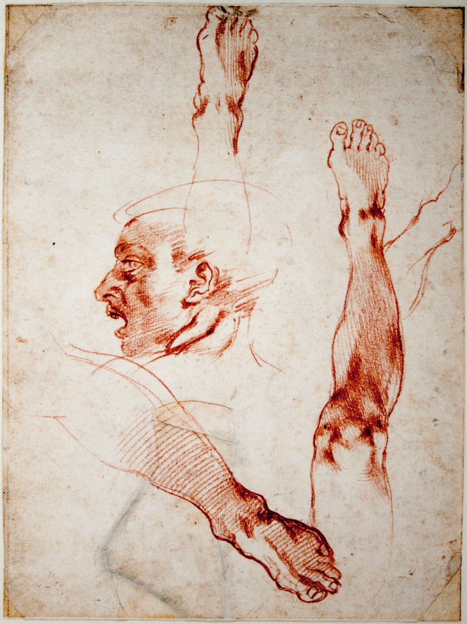 Mannelijk hoofd in profiel, studies van ledematen door Michelangelo Buonarroti
