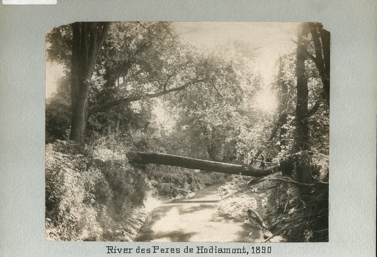 Twee kinderen lopen over een omgevallen boom over een kleine rivier in het bos door Unknown