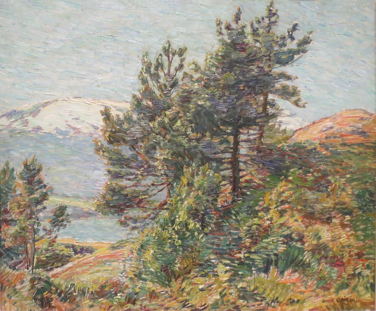 Noorse Pijnbomen Landschap door Walter Griffin