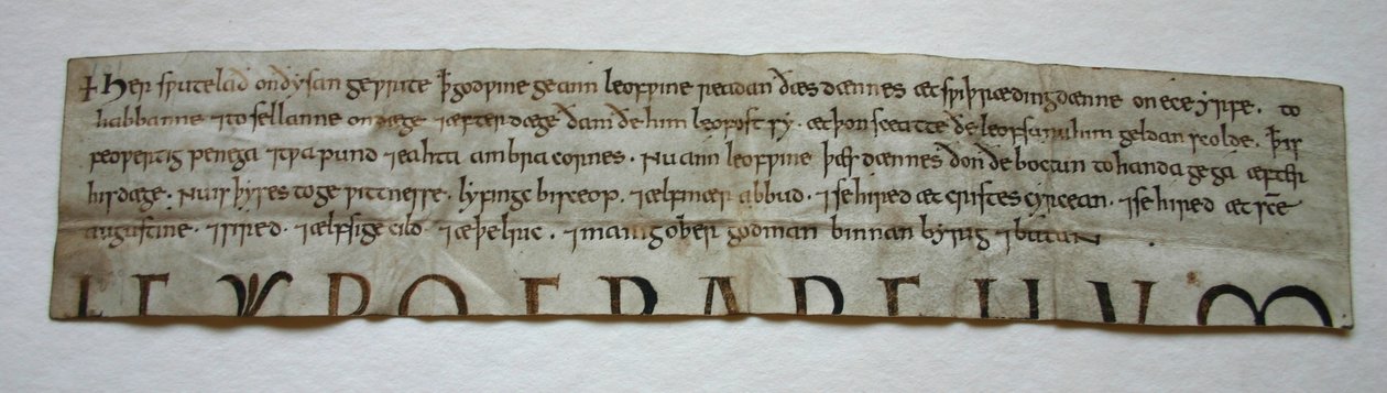Godwine Charter door (after) English School